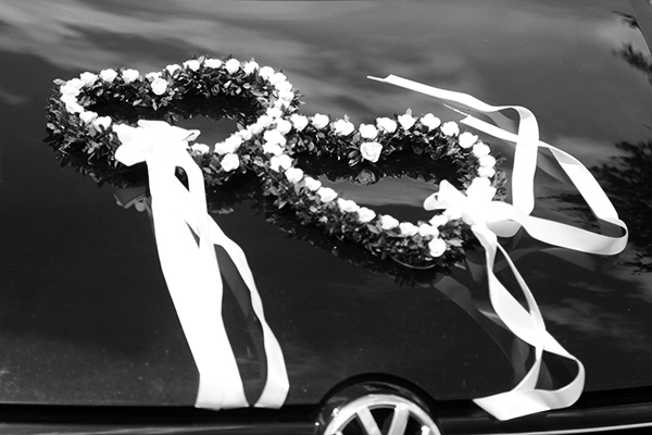 JPlina - Hochzeit